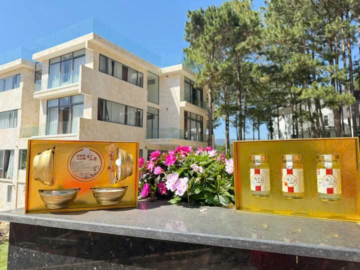 Yến Sào Gia Tiên