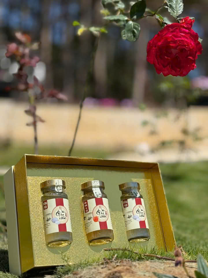 Yến Sào Gia Tiên