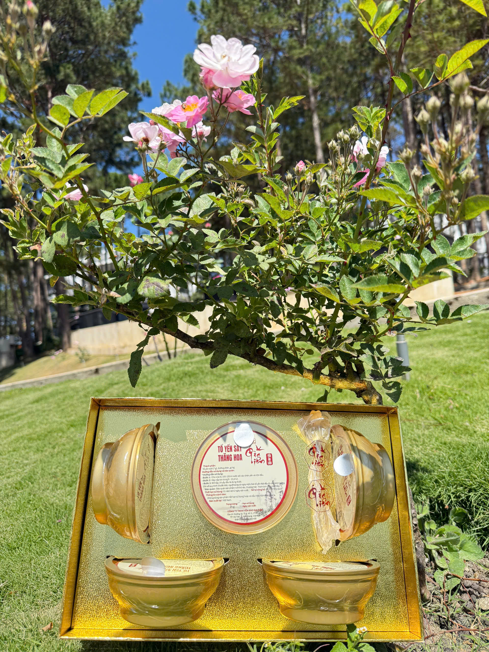 Yến Sào Gia Tiên