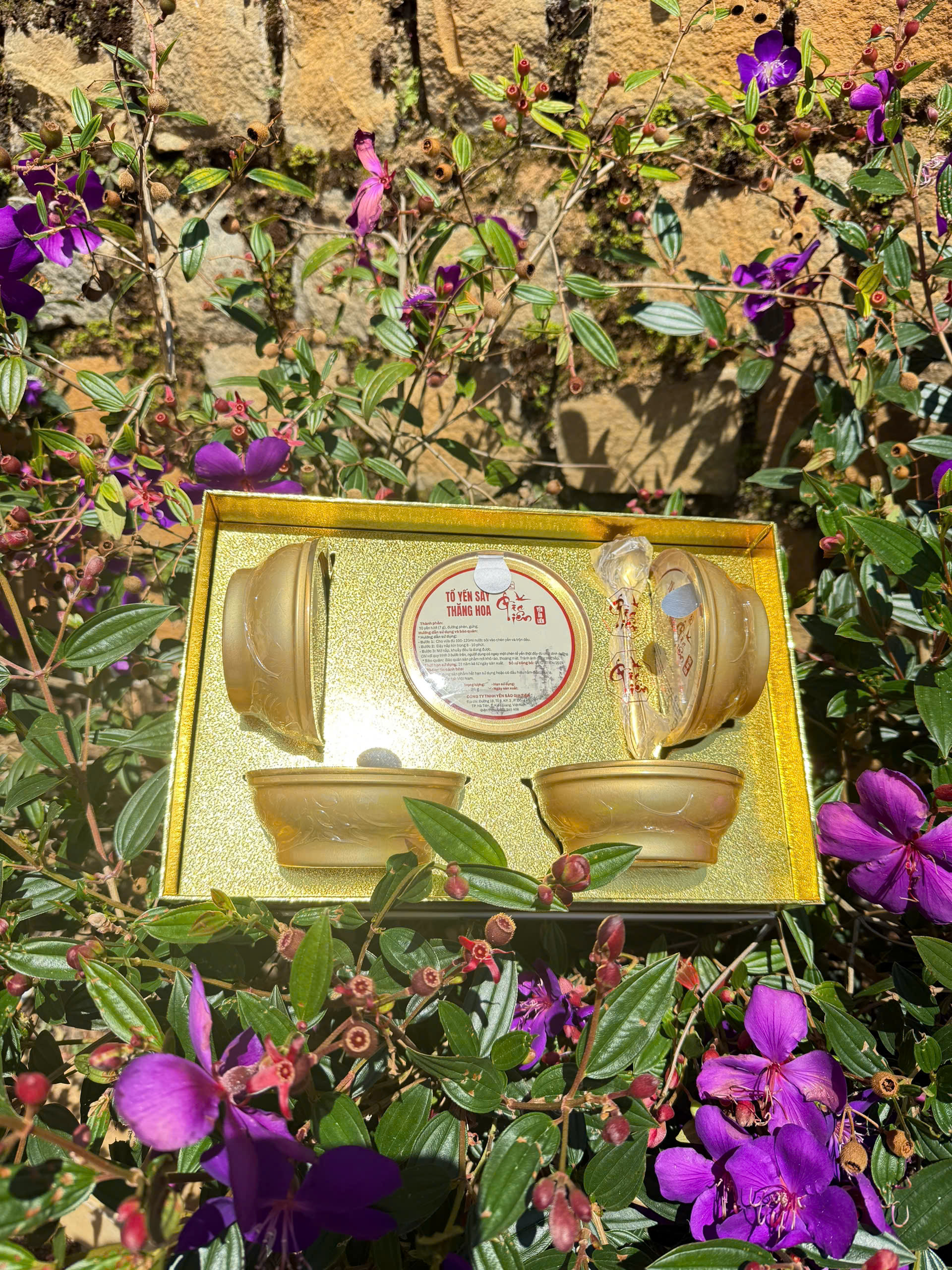 Yến Sào Gia Tiên